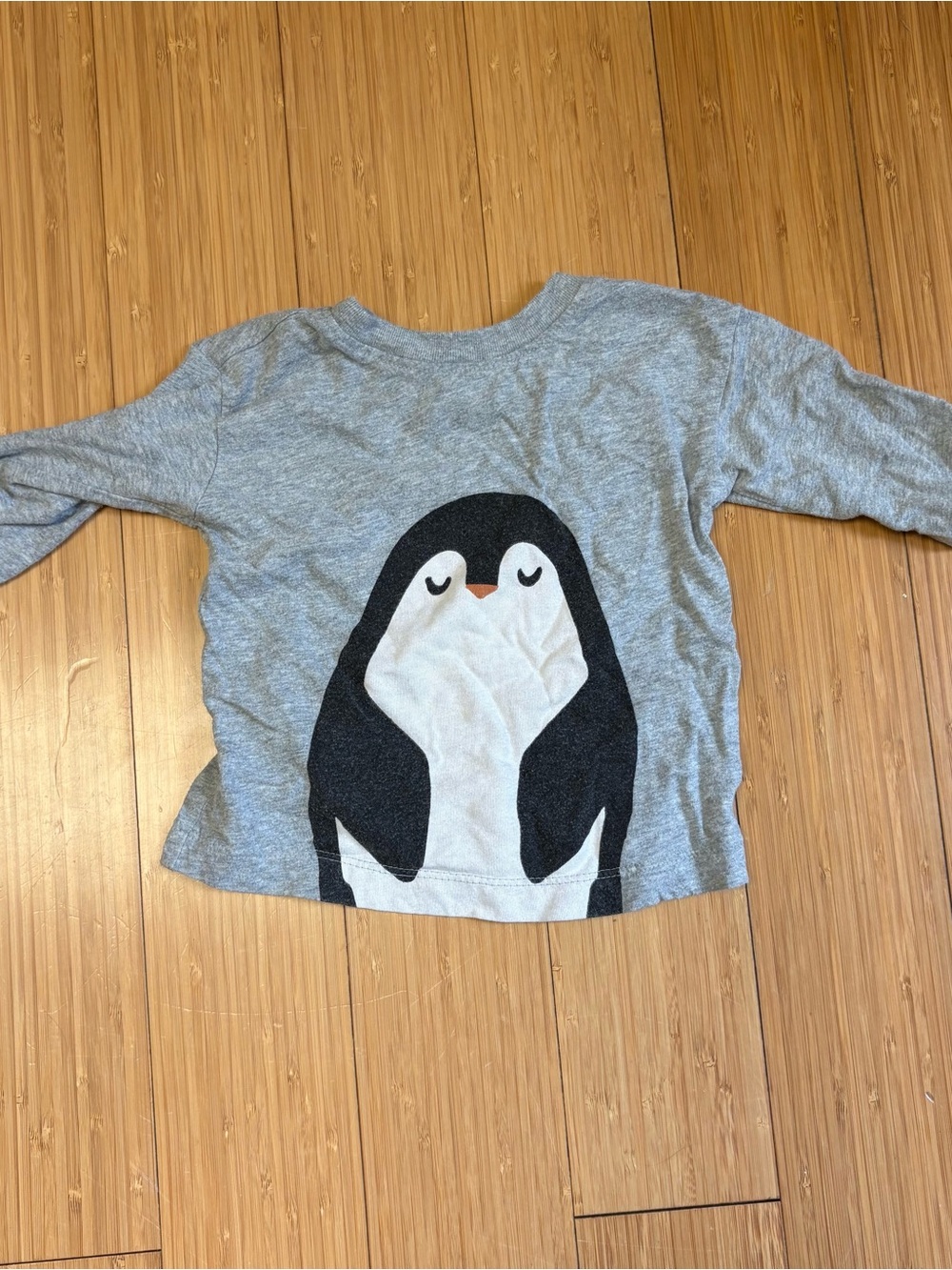 Hanna Andersson Heather Gray Long-Sleeve Tee with Penguin Front